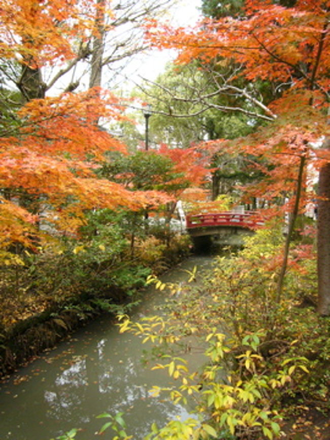 【鶴岡八幡宮】