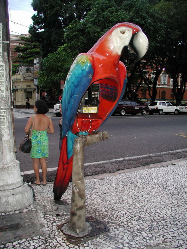 インコの電話ボックス、意識しているのかな。