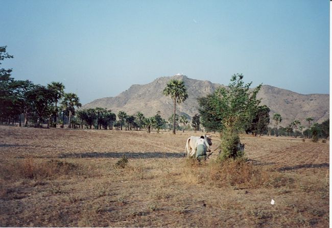 ポパ山までの道のり。　約１時間半です。