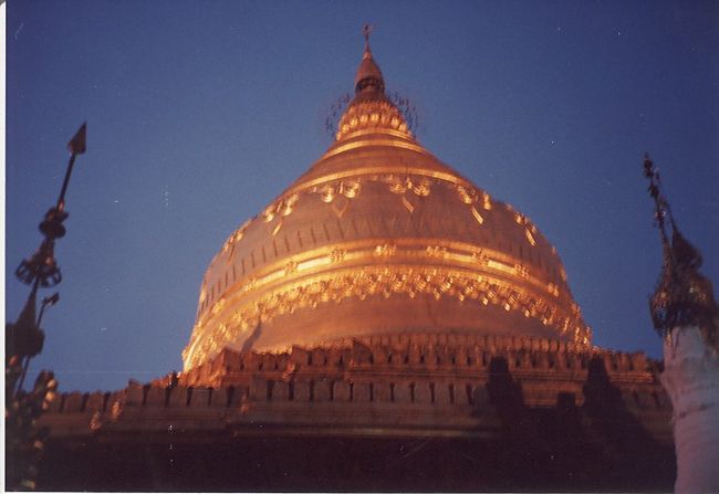 ライトアップすると神秘的な美しさになります。