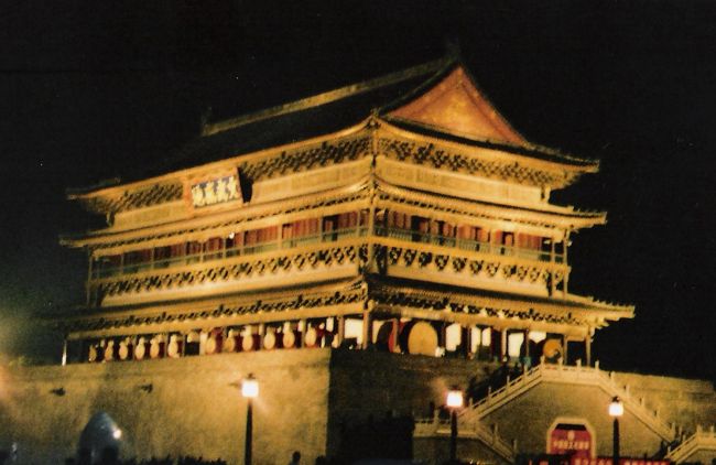 夜はこんなに綺麗にライトアップ！素敵。