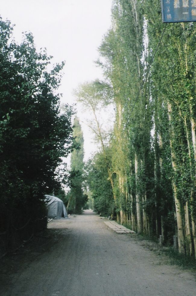 西安に滞在した後、列車で蘭州へ。夜行で94元。普通のシート。新しい車両で、助かった！！<br />夜行のくせに、夜も電気が明るいままです。<br /><br />そして蘭州は牛肉面を食べて街をうろうろ。そして翌日バスで敦煌へ。