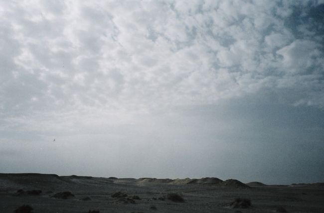 その周りの風景。殺伐としている。