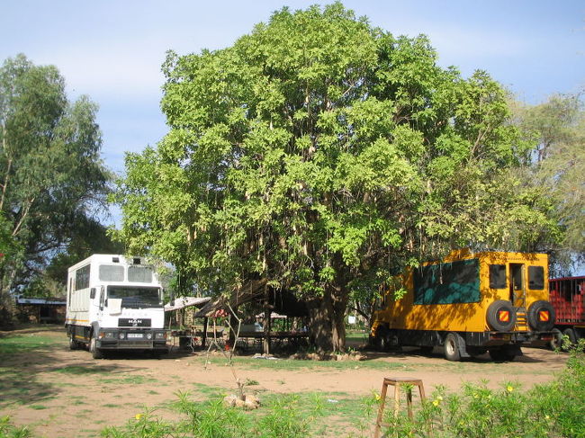 うちのトラックは白い方。<br />他のトラックもいたけど、かぶったのは１泊だけだった。