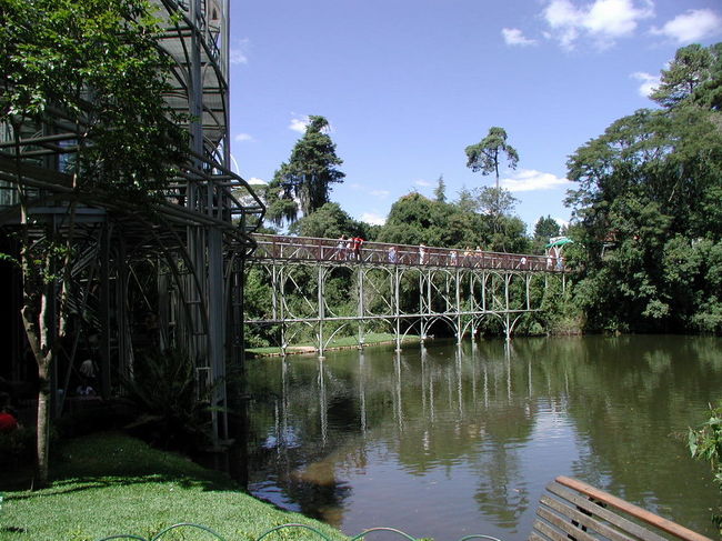 郊外の植物園とオペラハウス