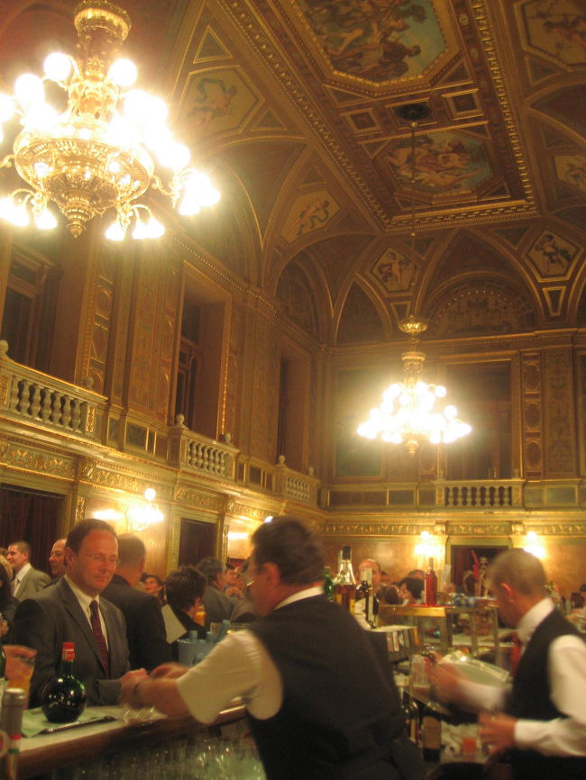 休憩室の豪華な天井とシャンデリアと飲み物を出す人々<br /><br />せっかくのオペラ座。<br />一応、おしゃれのつもりで、ジャケットを羽織っています。<br />でもその下はTシャツなので、Tシャツが見えないよう、襟もとはスカーフで隠しました。<br />高いスカーフではないですが、それなりに洒落た模様です。フェイクだけどきらきら光るスカーフ止めもしています。<br />きちんとしたおしゃれ着を持参しない代わりに、そうやってごまかすつもりだったのです。<br />でも、オペラ座の中は意外に暖かくて、スカーフをしていると暑いです。<br />１幕目が終わるまでは我慢していましたが、とうとう我慢できずに、外してしまいました。