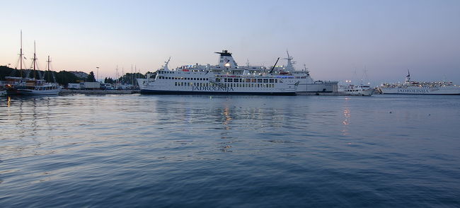 フェリーたちが停泊中