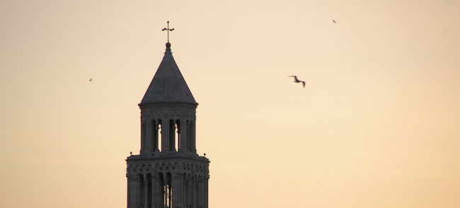 飛び交うかもめたち。。