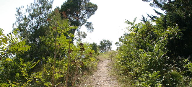 さらに山道を行く。。。