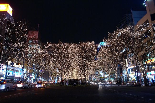 定禅寺通り　ケヤキ並木に電球が飾られています。800mの光のトンネルは綺麗です。