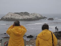 モントレーから17マイルドライブへ

モントレー半島の海岸線を走る有料道路に入ると海鳥が岩いっぱいに埋め尽くすバードロックやアザラシが寝そべる浜辺、ゴルフコースのぺブルビーチなどのスポットが続く。1台8.25ドルで入り口でビューポイントが入ったイラストマップを配布している。

バードロックにて。双眼狂のDNAをここに見たり。


http://www.pebblebeach.com/page.asp?id=1373