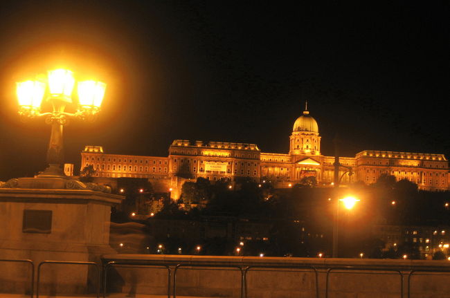 最後にもう一枚、王宮を。欄干の街灯と共に<br /><br />エリジュベート広場から夜景撮影を開始したのは19時50分頃。<br />夢中になって撮っているうちに、時間はすでに21時近くになっていました。<br />思ったより時間がかかるのです、夜景撮影は。<br />しかし、さすがにそろそろ切り上げることにしました。<br />できれば英雄広場に移動して、そちらの夜景も撮りたかったのですが、あきらめるしかありません。遅くなればなるほど、ホテルに戻る足の本数がなくなりますし、明日はホテルをチェックアウトして、ジェール＆ショプロンへの２泊３日旅行に出発する日なのですから。<br /><br />帰りの足ですが、実は今回のブダペスト滞在の前半は、地下鉄M2線の改修工事期間ともろにかぶってしまいました。<br />ホテルの最寄り駅は、M2線の終点のOrz vezer ter駅。<br />改修工事期間中は、平日は19時半から、土日は終日、代替えバスを利用しなければなりません。<br />しかし、代替えバスも、往復合わせてすでに６回利用しています。<br />最初だけ乗り場にとまどいましたが、慣れればバスも便利です。<br />今晩は、この時間で乗り換えの乗客の多いデアーク広場からなら、座って帰れるかもしれません。<br /><br />と思って、代替バスの出るバス停で待ちましたが、今日はいやに待たせます。<br />21時台なら、10分おきにバスが出るはずです。<br />こんなに待つなんて、変です。もしや事故でもあって、予定が変わったのかしら。<br />違う方向へ行くバスを何台も見送っていると、さすがにいらいらしてきます。<br />すると、同じ代替バスを待っているらしい人の１人が、もう一度、バス停の代替バスの案内文を読み、ハッとした様子で、すたすたとバス停を去ってしまいました。<br />見ると、地下鉄駅に通じる地下道入口へ向かっています。<br />私もハッとしました。<br />今日は10月16日じゃん！<br />10月の改修工事は、10月５日から15日までなのです。<br />なんてこったい！<br />朝はふつうに地下鉄が利用できる平日だったので、すっかり忘れていました。