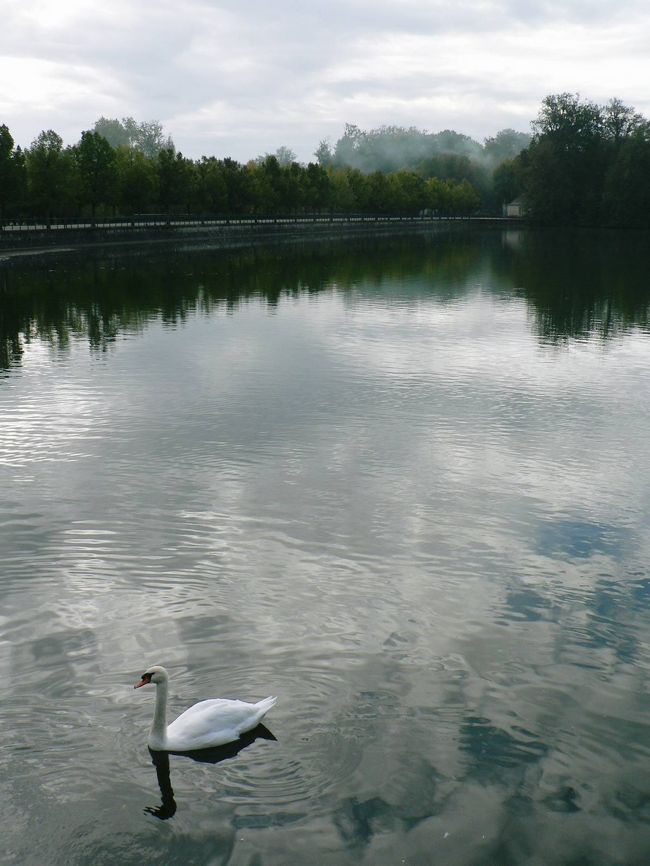 庭園の池。<br />