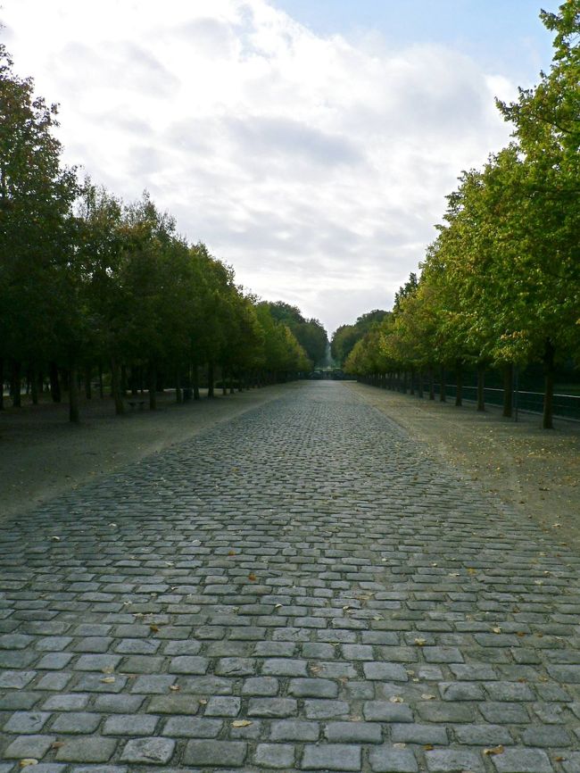 公園の並木道。<br />