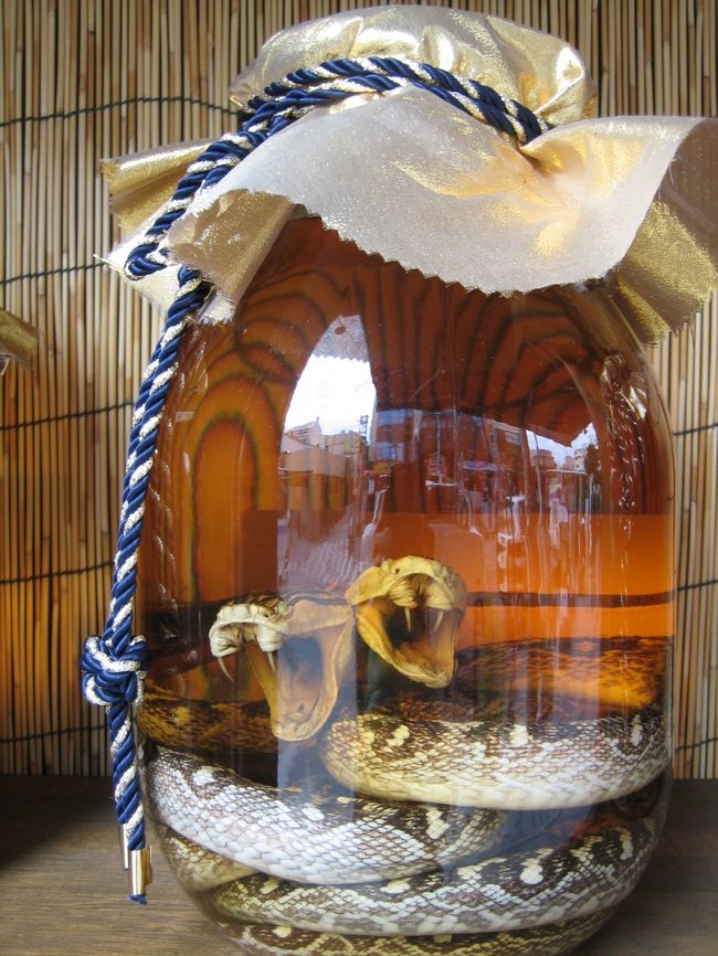 シャー！<br />こわいよ・・・。