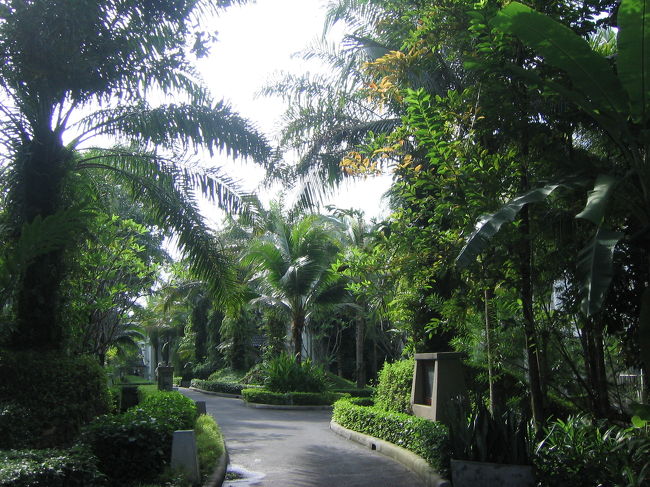 シェラトンホテル内の庭。広いです・・・