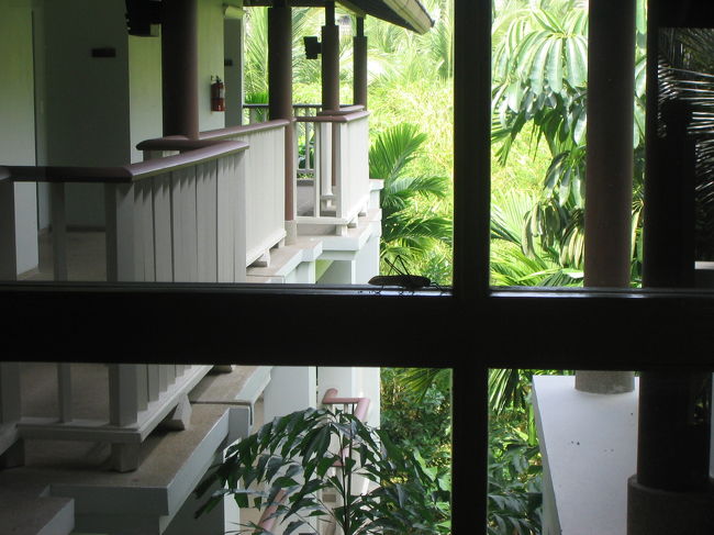 10cmくらいのバッタが窓に・・・デカイ