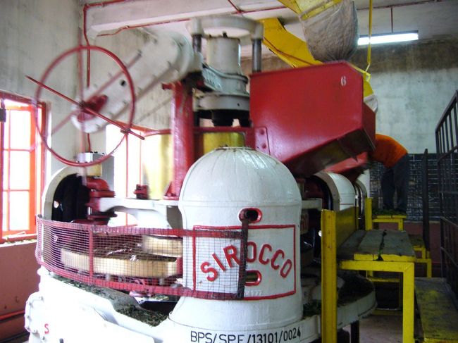 これは、紅茶の葉っぱを細かくする機械。<br />紅茶のいい香りが一面に漂います。