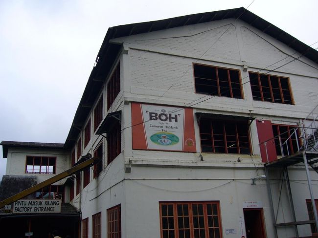 お次は、マレーシア名物・Boh Teaの工場を見学。<br />