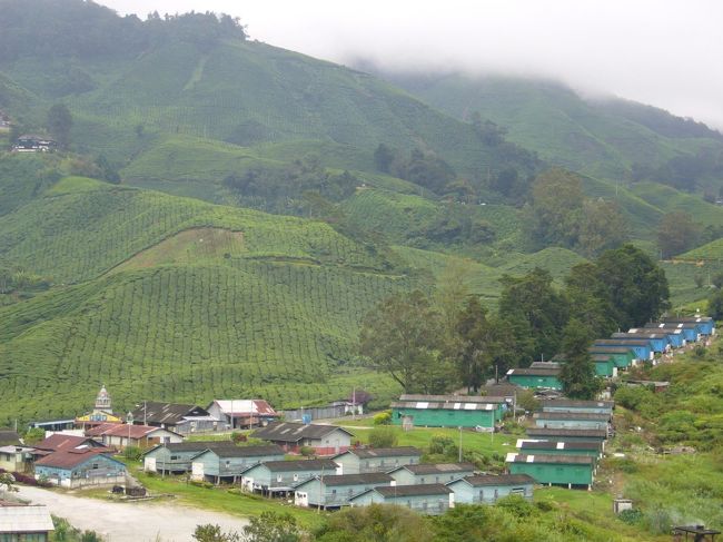 工場には、カフェが併設されてました。<br />カフェから見える景色が最高！<br />茶畑を見下ろしながらいただくのは、もちろん名物の紅茶。幸せ〜！<br />茶畑の間に見えるのは、作業員が住む村。<br />規模は小さいけれど、教会、モスク、学校だってもちろんあります。<br />