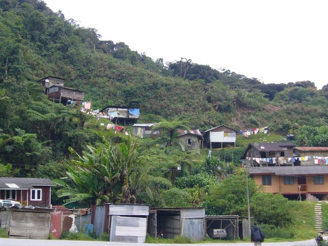 オランアスリ(原住民)の村を見学。<br />オランアスリの子ども達、と〜っても可愛かった！<br /><br />※ガイドさんによると、ここは政府の支援により開拓された村とのこと。伝統的なオランアスリ村は、山のずっと奥のほうに行かないと見れないらしい…。<br />