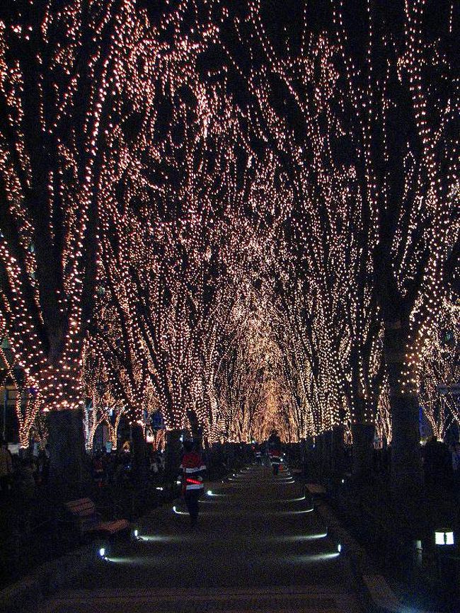 中央の歩道　何故か立ち入り禁止。<br /><br />　写真にはありがたい風景