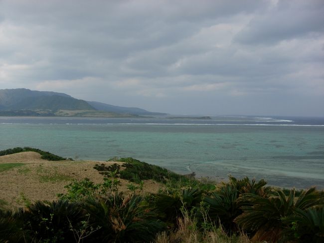 文也君のガジュマルの木と西表島と由布島