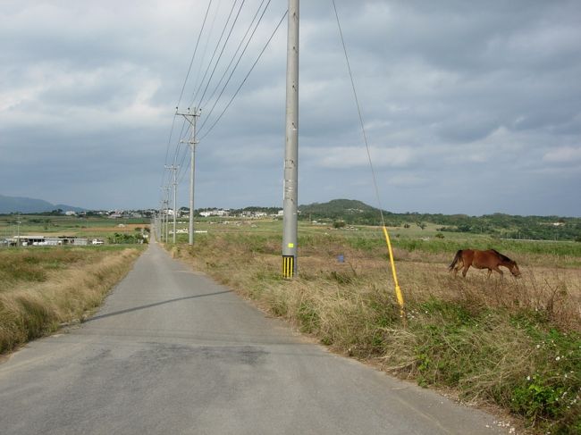 シュガーロード