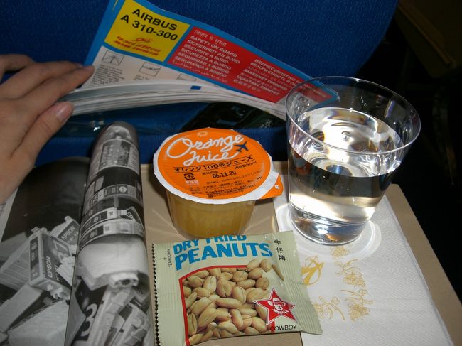 エアバスだそうです。<br />なかなか離陸してくれない・・・。