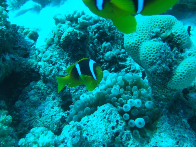 what're you lookin at??!