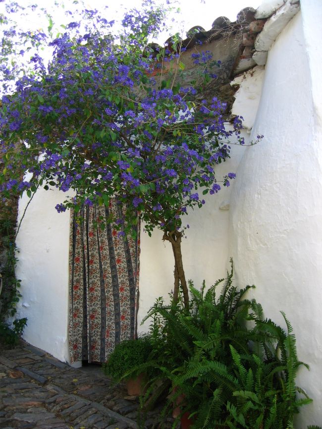 モンサラーシュ町並み（7）