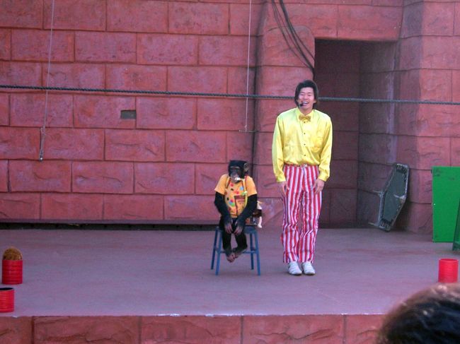 伊豆シャボテン公園<br />http://www.shaboten.co.jp/<br /><br />チンパンジーのアスカちゃんのショー。<br />とても利口で感心感心。<br />アスカちゃんに釘付けでした。