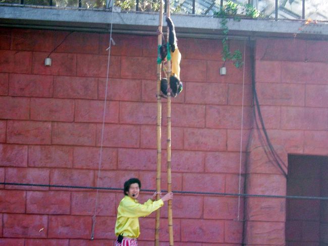 巨大竹馬をしているアスカちゃんです。<br />スゴい