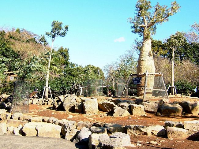 カンガルー公園広場。<br />動物は檻等ではなくなるべく広いところに放し飼いにしてあげるのがいいですね。そんなに広くはないけど、カンガルーもゆったりと生活していました。