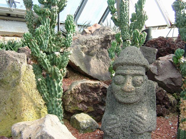 極寒だったので、足早にサボテン温室へ。<br />世界のサボテンが所狭しと並んでいました。