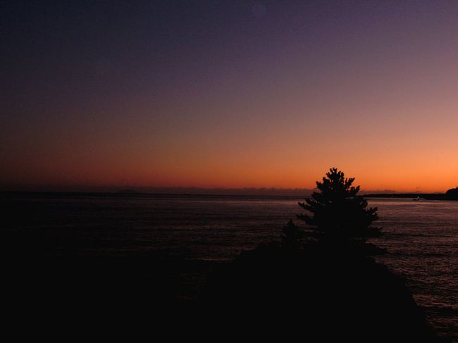 伊東から約1時間ちょっと。下田の宿「ラ・シャンス」に到着。この宿は2回目。最高のサービスと最高の料理が満喫できる超一押しのペンションです。<br />さっそく、宿主さんに付近の温泉を聞き出し、温泉へ。<br />これは温泉から撮った白浜の海です。