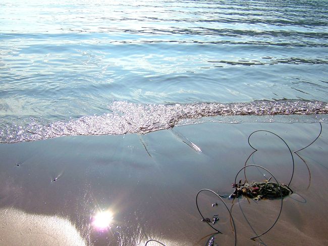 下田の海岸とは違い、海の質も汚れが目立ちます。<br />しかし、晴天のかいあってか、とても綺麗に光る海でした。海は綺麗でいて欲しいですね。<br />私たちが一人一人少し気をつければ海ももっと綺麗になるのでしょう。