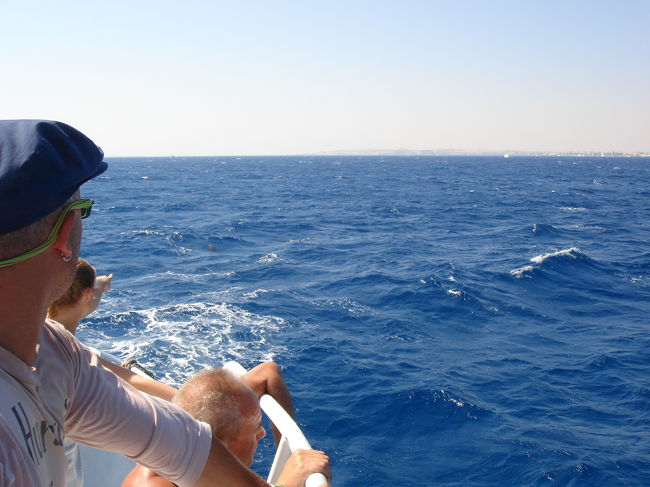 Dolphins!!!<br />i couldn't meet them in the water though...