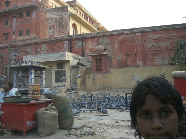 シティーパレスの入り口は<br />ハトだらけ。<br />左のおっちゃんは<br />ハトのえさ屋さん。<br /><br />ハト、多すぎます。<br />エサもあまり、あげすぎないほうが<br />いいような・・・。