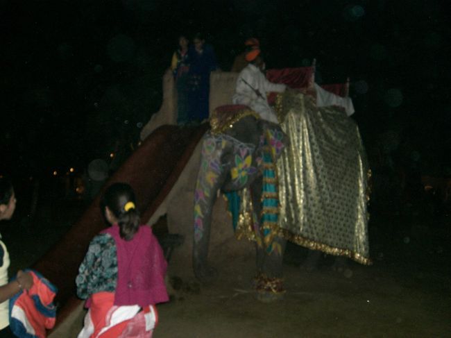 象乗り場＝すべり台<br />　象から降りたら、すべり台で下に降ります☆