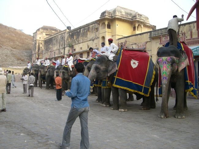 早起きしたのは、<br />アンベール城まで、象のタクシーに乗るため！<br />以前に事故があってから、<br />一日の象のタクシーの利用者は<br />限られています。<br />たしかに、結構急勾配だし、<br />象の負担も大きそうです。<br />ちなみに、丘の上での城の観光を終えて、<br />下った頃には象のタクシーは終了していて、<br />みんな、ジープで上まであがってました。