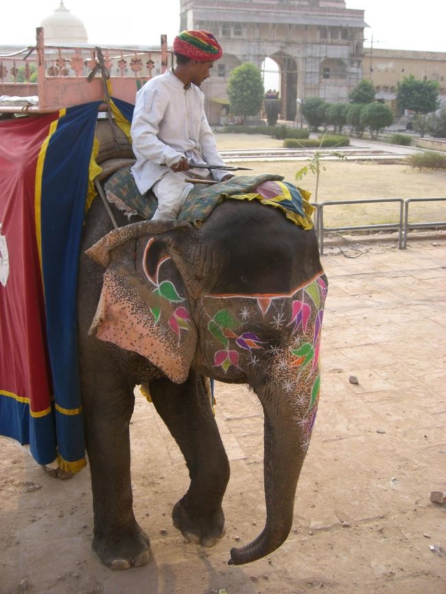 私達の象さんは、お化粧がとてもキレイ☆
