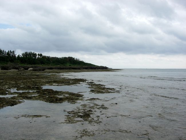 仲本海岸です。