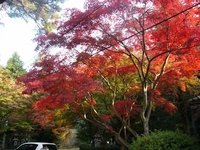 まずは西明寺へ。