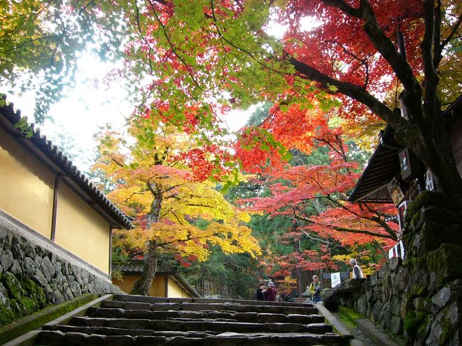 いい具合に紅葉してきてますね。まだまだ歩きます。