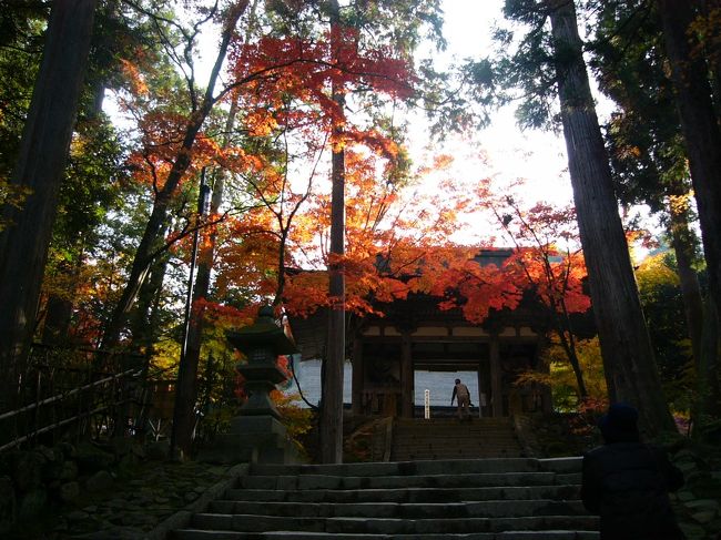 本堂の入り口です。上の方のもみじに朝日が当たってきれい！