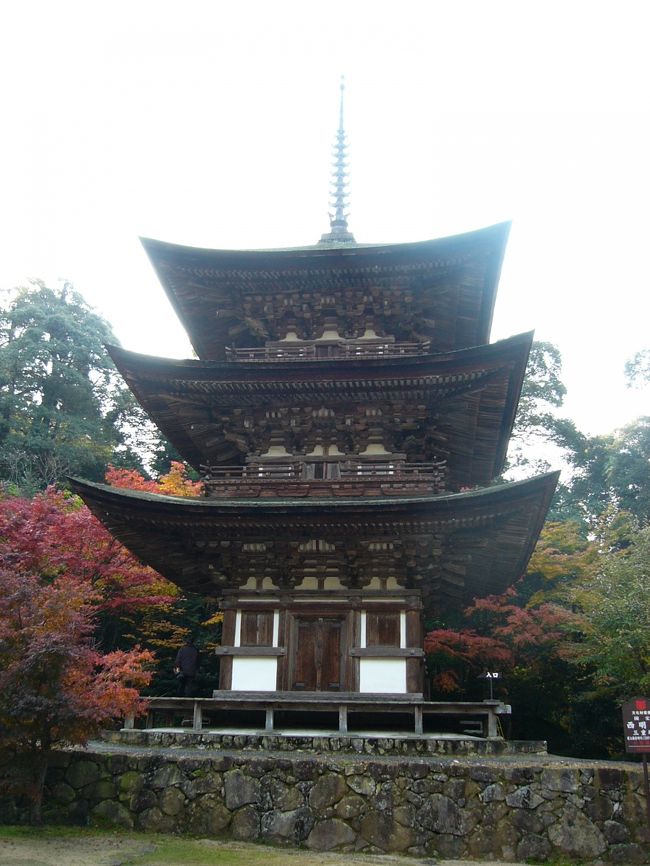 これが重要文化遺産である三重塔です。この拝観料は１０００円です。高い！！三重塔だけれど，上には上れません。中に書いてある宗教画は鎌倉時代（？）にさかのぼるほど古いものだそうです。もちろんさわっちゃだめ！！