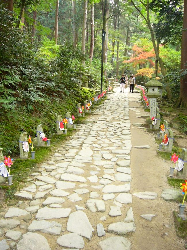 次は金剛輪寺へ。このお寺の参道がすごく長い！そしてこの参道には，１０００体のお地蔵さんがいる。実際は千以上あると思うけれど，一体一体に番号が振ってあります。本堂に近い方から１・２・３・４・・・と増えていきます。