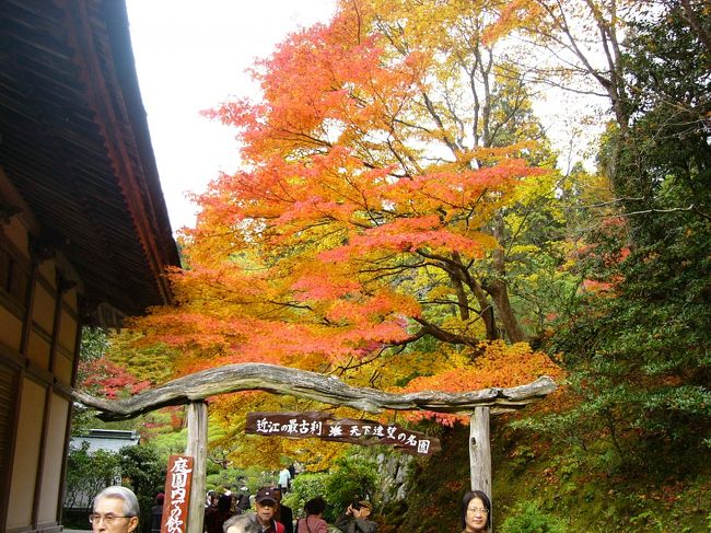 3番目は百済寺（ひゃくさいじ）です。このお寺も庭が広いですよ〜〜