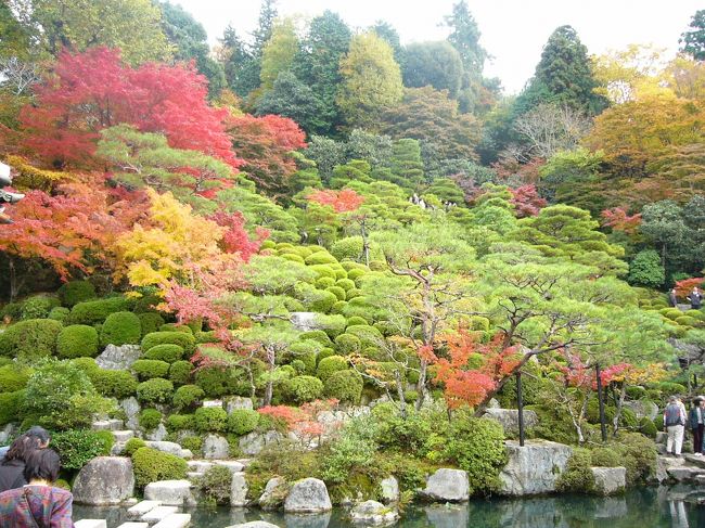 このお寺には池があります。狭そうに見えますが，歩道があるので周りを歩くことができます。